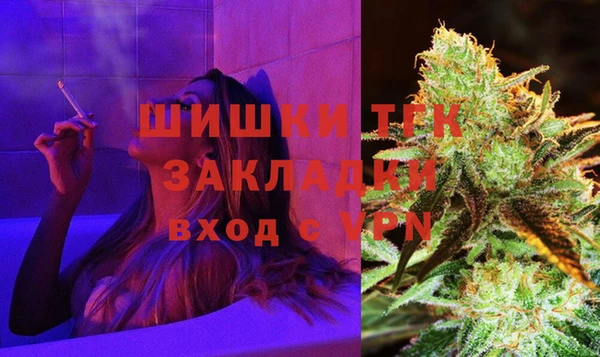 индика Вязьма