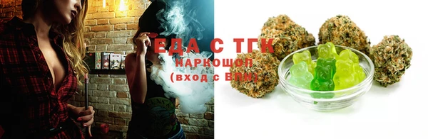 индика Вязьма