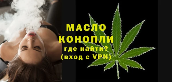 индика Вязьма