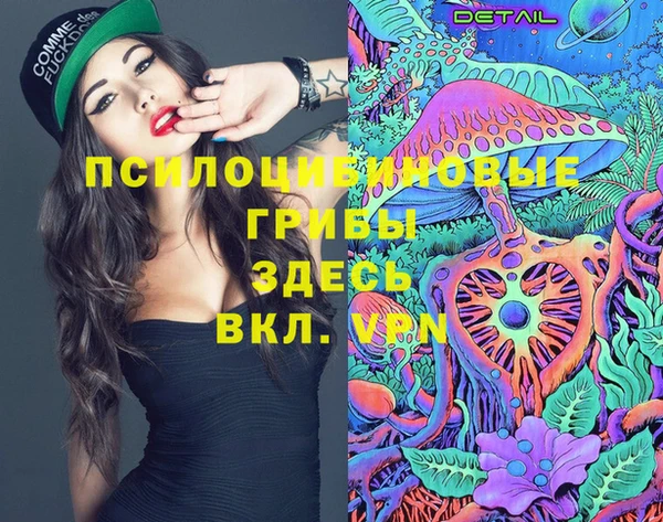индика Вязьма