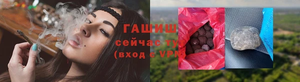 индика Вязьма