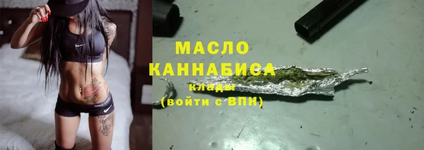 индика Вязьма