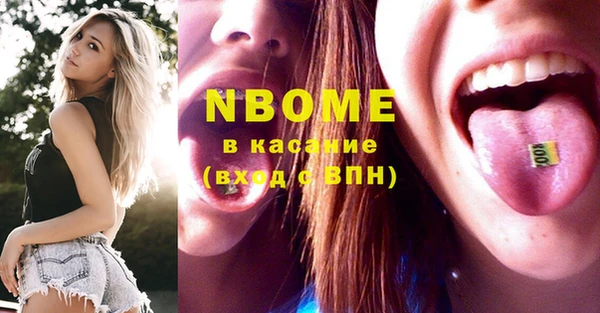 индика Вязьма