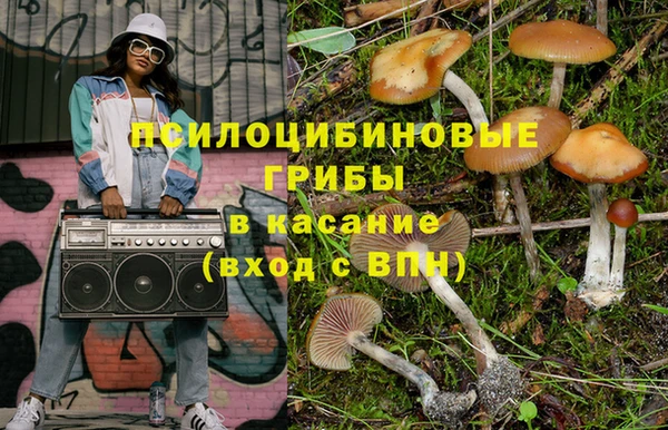 индика Вязьма