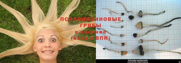 индика Вязьма