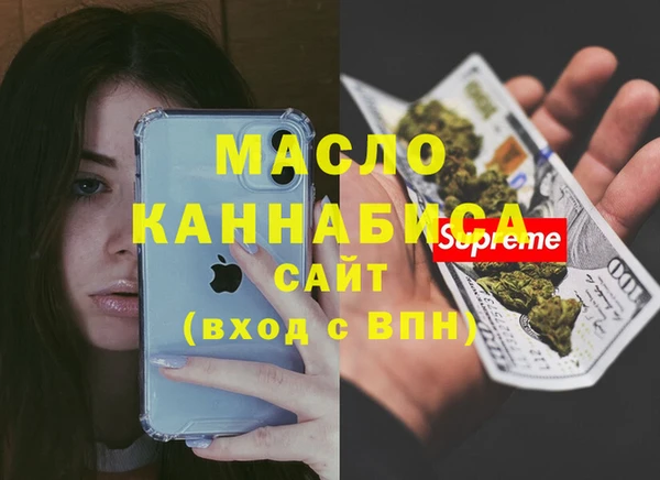 соль ск Вяземский