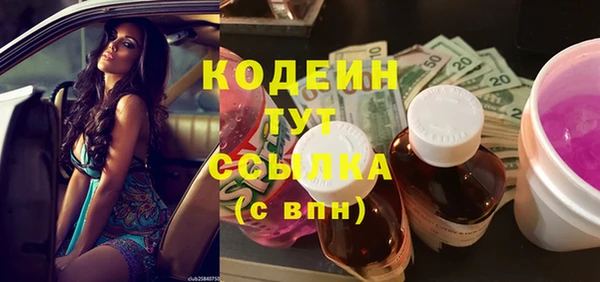 индика Вязьма