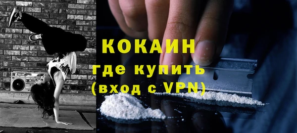 индика Вязьма
