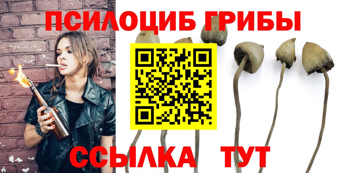 Псилоцибиновые грибы Psilocybine cubensis  Псилоцибиновые грибы Psilocybine cubensis  Мценск 