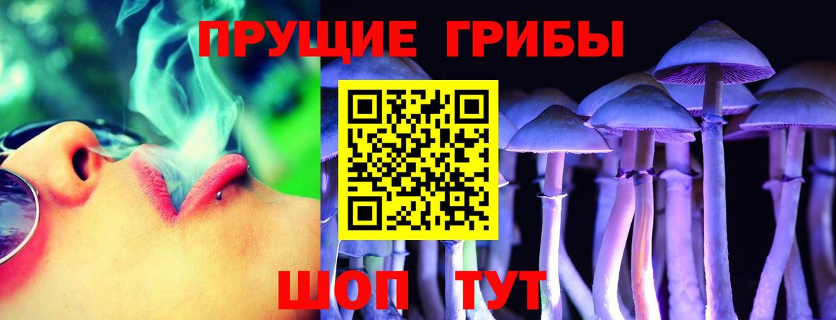 как найти закладки  Вход с VPN  Мценск  Псилоцибиновые грибы мицелий 